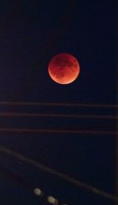 Lunar Eclipse over Everett, WA. Photo by Mark Rosenthal, © 2015